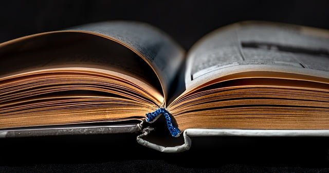 Türkiye’deki Üniversiteler ve Bölümleri ve Puanları